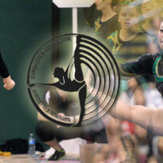 Sklenar and Kowalik Sweep NCGA East Gymnast of the Week Honors