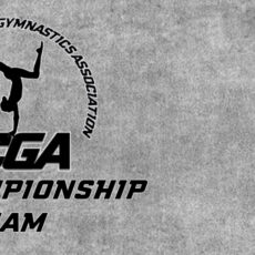 NCGA Announces All-Championship Team for 2019 Season
